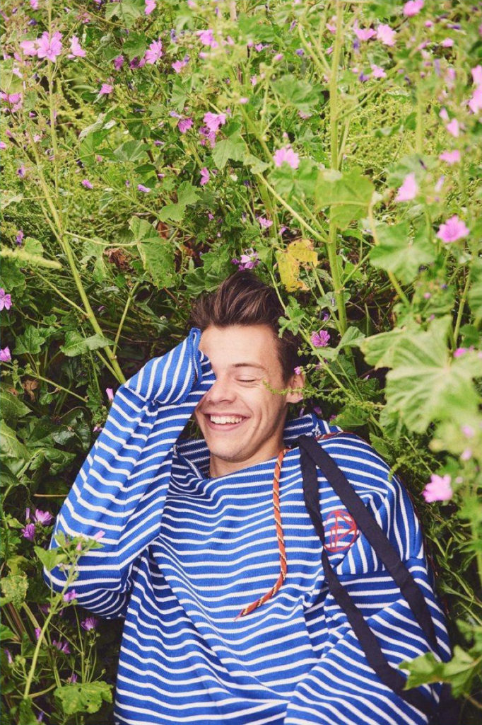 harry-styles-by-ryan-mcginley_1