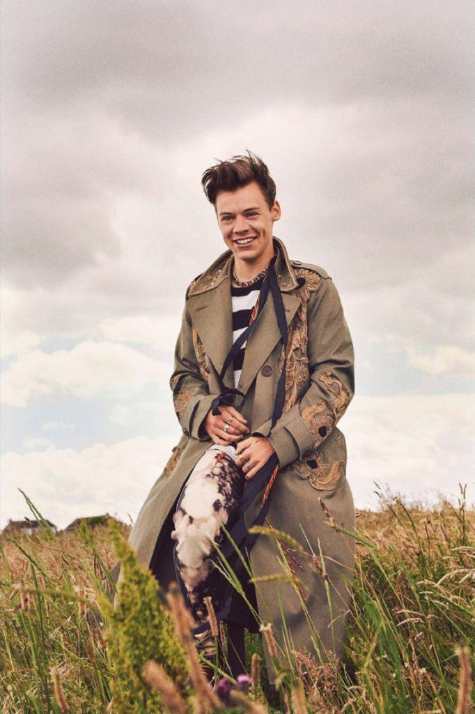 harry-styles-by-ryan-mcginley_3